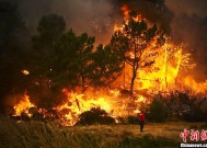 金年会官网首页-包含葡萄牙战平德国，居首困境愈演愈烈的词条