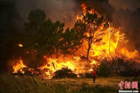 金年会官网首页-包含葡萄牙战平德国，居首困境愈演愈烈的词条