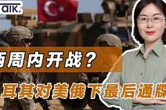 金年会官网-意甲助教指责裁判不公，或因此受到处罚的简单介绍