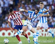 佛罗伦萨主场不敌马德里竞技力争反弹的简单介绍