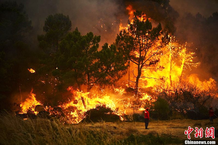 包含葡萄牙战平德国，居首困境愈演愈烈的词条