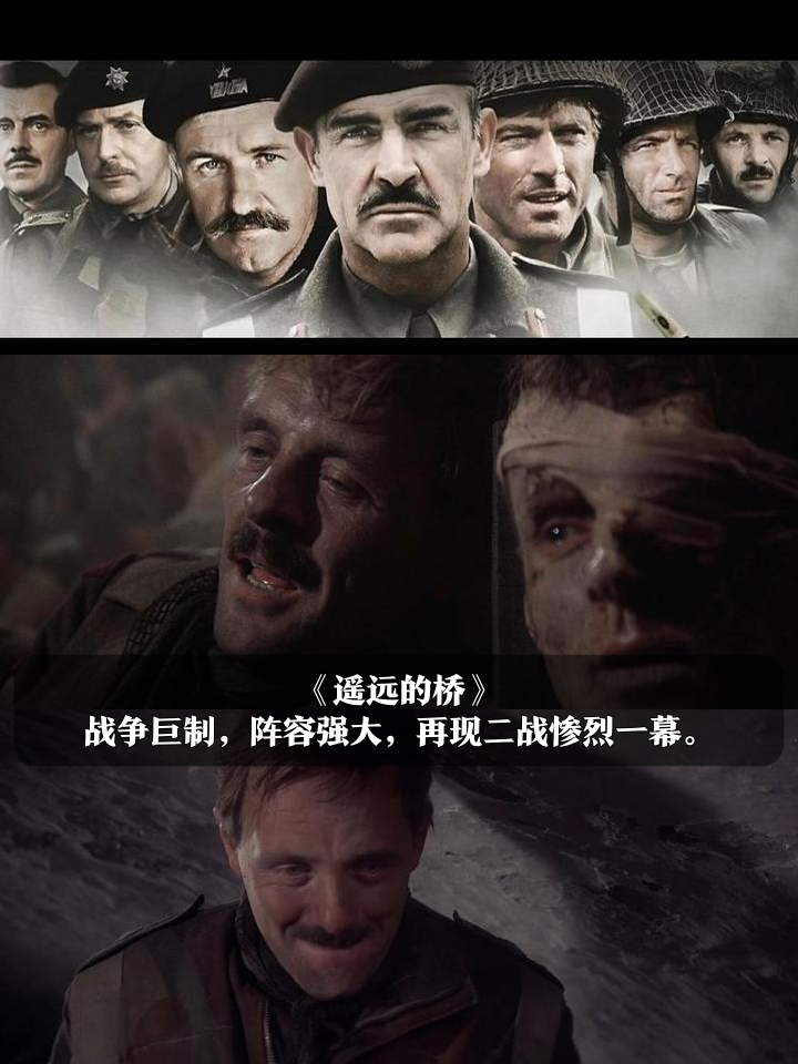 战场上英雄辈出，谁能带领团队取得胜利的简单介绍